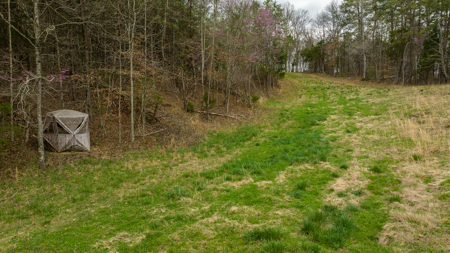 East Tennessee Retreat Hancock County Sneedvillle Country Home and Acreage for Sale - image 40