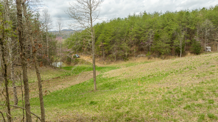 East Tennessee Retreat Hancock County Sneedvillle Country Home and Acreage for Sale - image 22