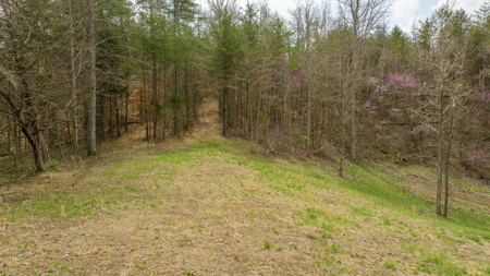 East Tennessee Retreat Hancock County Sneedvillle Country Home and Acreage for Sale - image 24
