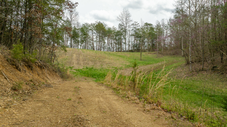 East Tennessee Retreat Hancock County Sneedvillle Country Home and Acreage for Sale - image 28