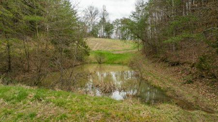 East Tennessee Retreat Hancock County Sneedvillle Country Home and Acreage for Sale - image 35