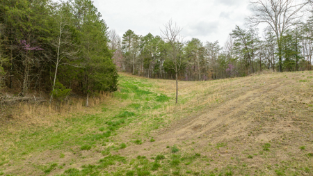 East Tennessee Retreat Hancock County Sneedvillle Country Home and Acreage for Sale - image 38