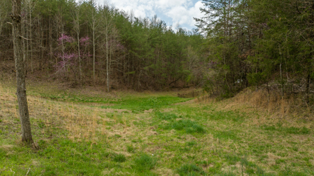 East Tennessee Retreat Hancock County Sneedvillle Country Home and Acreage for Sale - image 20