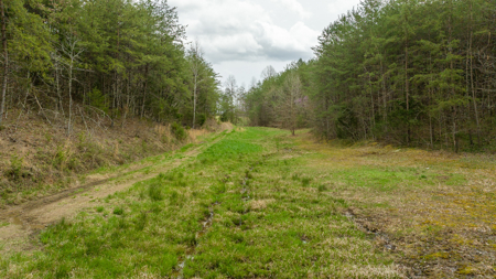 East Tennessee Retreat Hancock County Sneedvillle Country Home and Acreage for Sale - image 27