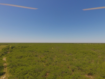 +/-180 Acres in South Texas that borders The King Ranch - image 4