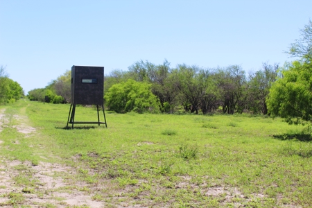 +/-180 Acres in South Texas that borders The King Ranch - image 6