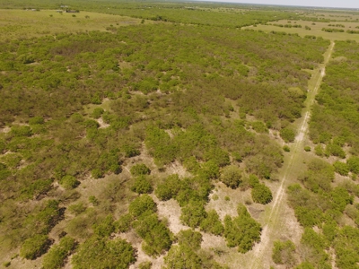+/-180 Acres in South Texas that borders The King Ranch - image 8