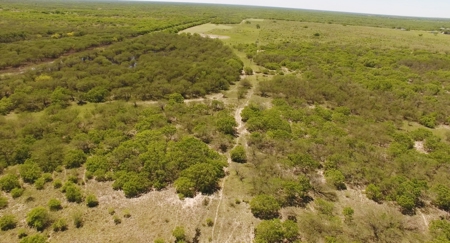 +/-180 Acres in South Texas that borders The King Ranch - image 2