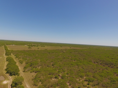 +/-180 Acres in South Texas that borders The King Ranch - image 12