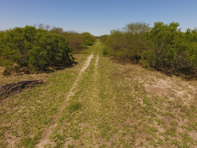 +/-180 Acres in South Texas that borders The King Ranch - image 9