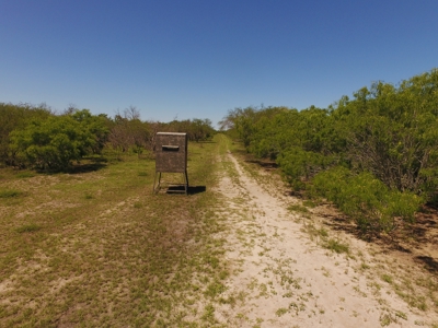 +/-180 Acres in South Texas that borders The King Ranch - image 5