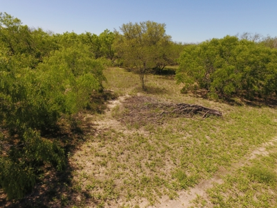 +/-180 Acres in South Texas that borders The King Ranch - image 10