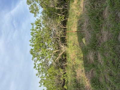 +/- 10 Acres with a Farm House Near the King Ranch - image 1