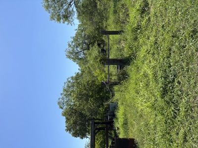 +/- 10 Acres with a Farm House Near the King Ranch - image 5