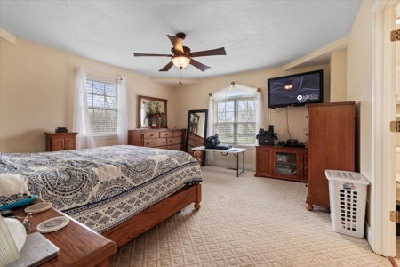 Beautiful Home in West Plains, MO for Sale - Excellent Location, quiet Neighborhood - image 15