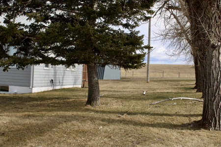 59 Acres NO HOA or restrictions bring your family and livestock and live the MT dream - image 8
