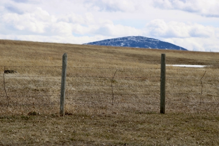 59 Acres NO HOA or restrictions bring your family and livestock and live the MT dream - image 35