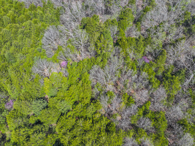 Land For Sale Pomme De Terre Lake - image 5
