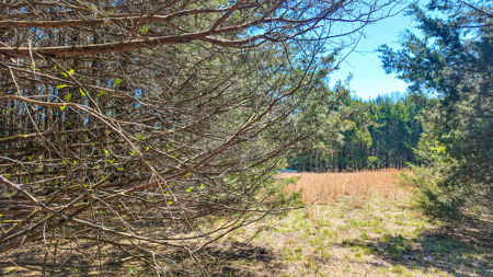Land For Sale Pomme De Terre Lake - image 47