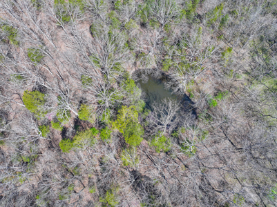 Land For Sale Pomme De Terre Lake - image 45