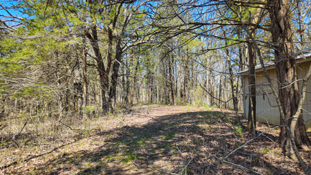 Land For Sale Pomme De Terre Lake - image 43
