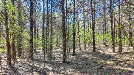Land For Sale Pomme De Terre Lake - image 38