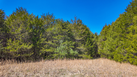 Land For Sale Pomme De Terre Lake - image 32