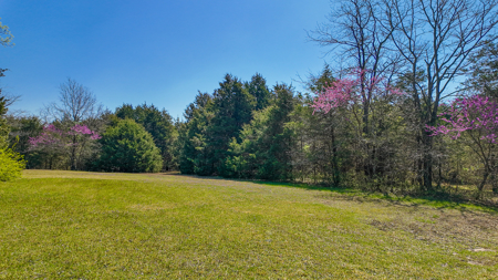 Land For Sale Pomme De Terre Lake - image 6