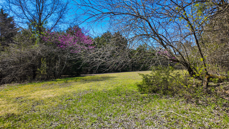 Land For Sale Pomme De Terre Lake - image 49