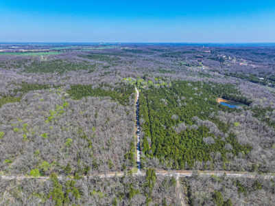 Land For Sale Pomme De Terre Lake - image 26