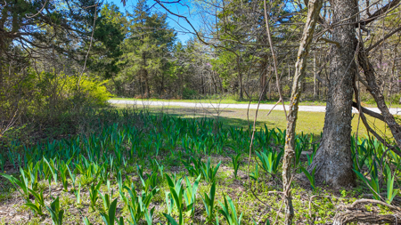 Land For Sale Pomme De Terre Lake - image 39