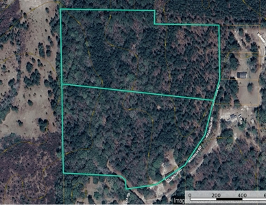 Expansive 23+ Acre Country Home for Sale in Bennettsville, SC - image 1