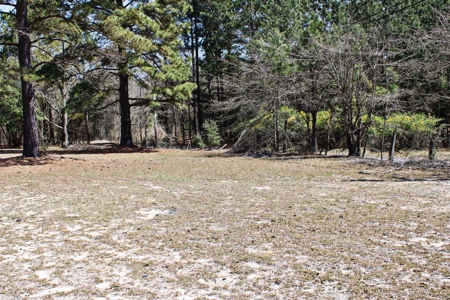 Expansive 23+ Acre Country Home for Sale in Bennettsville, SC - image 8