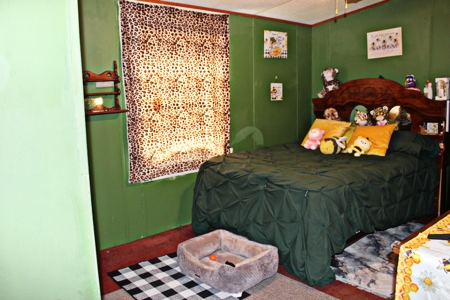 Expansive 23+ Acre Country Home for Sale in Bennettsville, SC - image 23