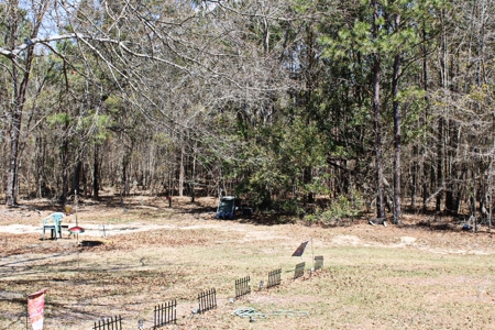 Expansive 23+ Acre Country Home for Sale in Bennettsville, SC - image 9