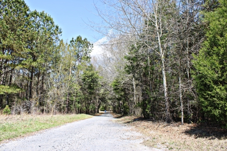 Expansive 23+ Acre Country Home for Sale in Bennettsville, SC - image 4