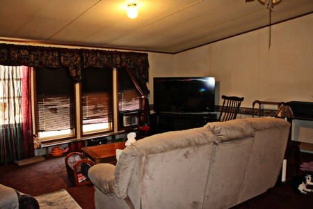 Expansive 23+ Acre Country Home for Sale in Bennettsville, SC - image 11