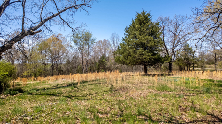 Land for sale Southern Missouri Ozarks - image 6