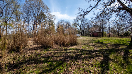 Land for sale Southern Missouri Ozarks - image 5