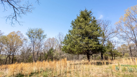 Land for sale Southern Missouri Ozarks - image 4