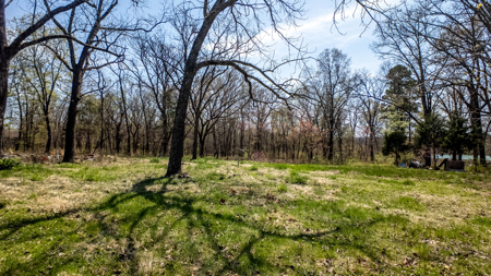 Land for sale Southern Missouri Ozarks - image 13