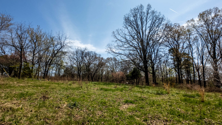 Land for sale Southern Missouri Ozarks - image 12