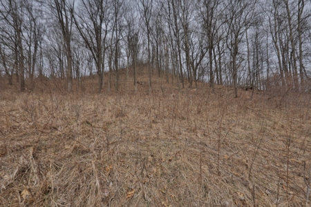 World-Class Recreational and Hunting Property for Sale in Jackson County, Wisconsin - image 36