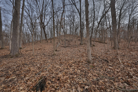 World-Class Recreational and Hunting Property for Sale in Jackson County, Wisconsin - image 30