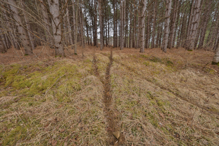 World-Class Recreational and Hunting Property for Sale in Jackson County, Wisconsin - image 31