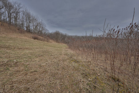 World-Class Recreational and Hunting Property for Sale in Jackson County, Wisconsin - image 44