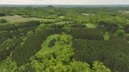 World-Class Recreational and Hunting Property for Sale in Jackson County, Wisconsin - image 11
