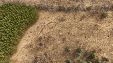 World-Class Recreational and Hunting Property for Sale in Jackson County, Wisconsin - image 15