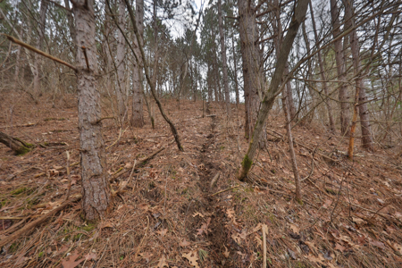 World-Class Recreational and Hunting Property for Sale in Jackson County, Wisconsin - image 11