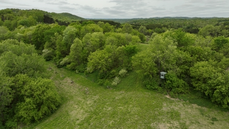 World-Class Recreational and Hunting Property for Sale in Jackson County, Wisconsin - image 18